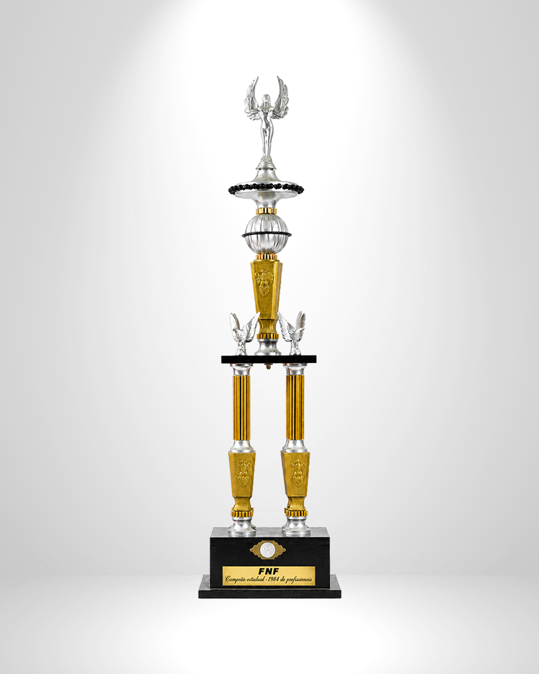 Taça — Campeão Potiguar 