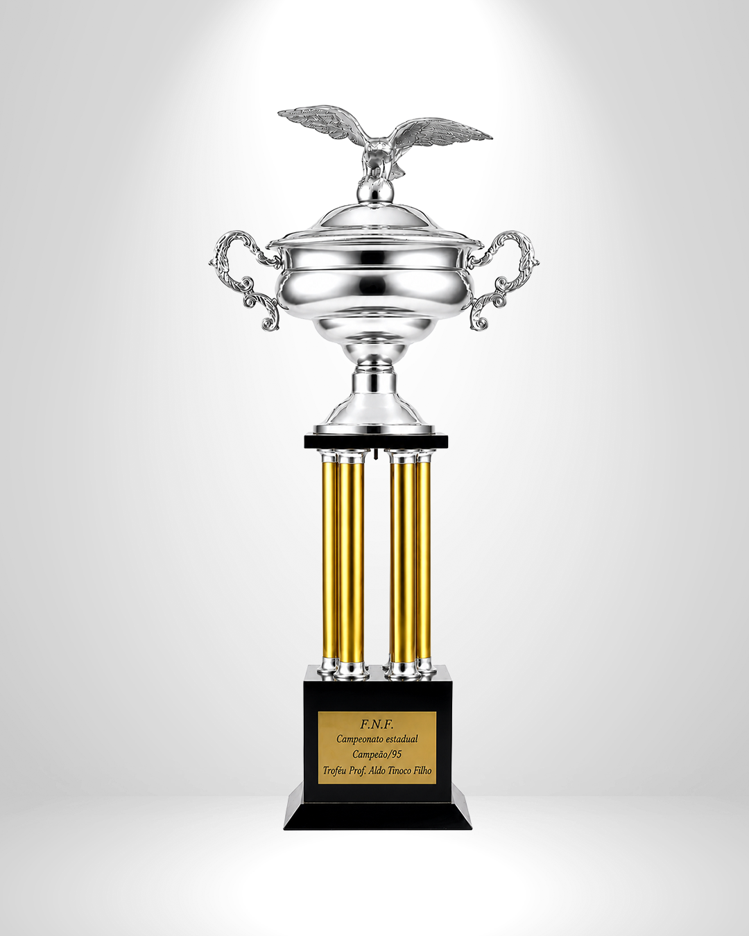 Taça — Campeão Potiguar