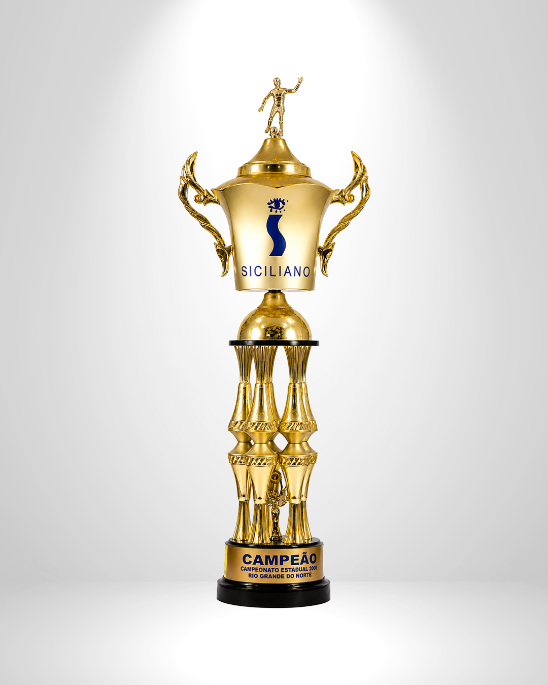 Taça — Campeão Potiguar