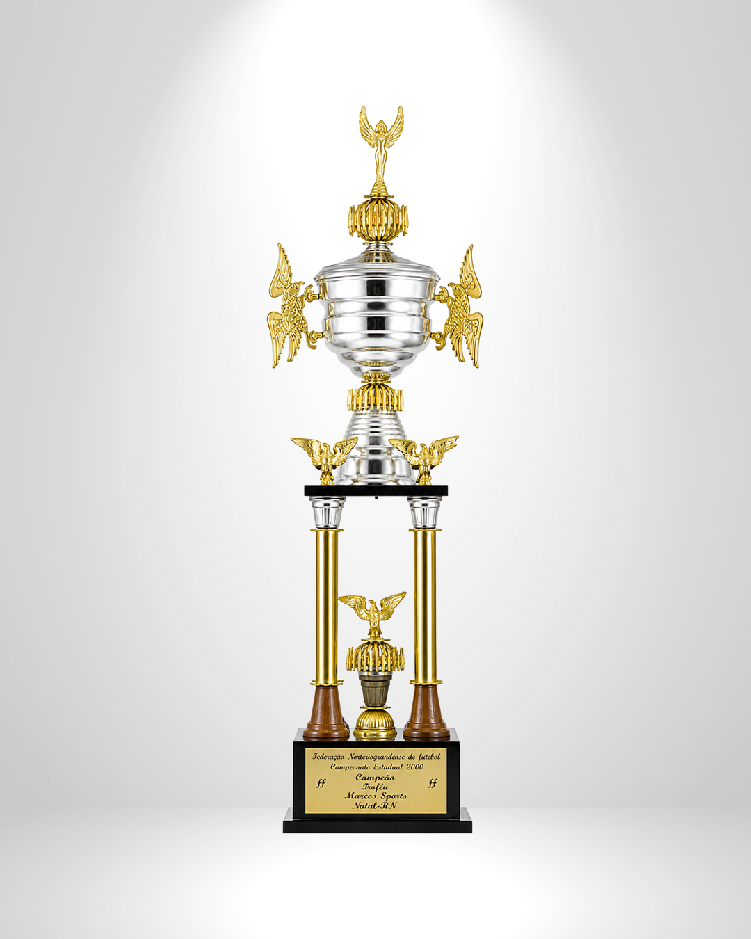 Taça — Campeão Potiguar