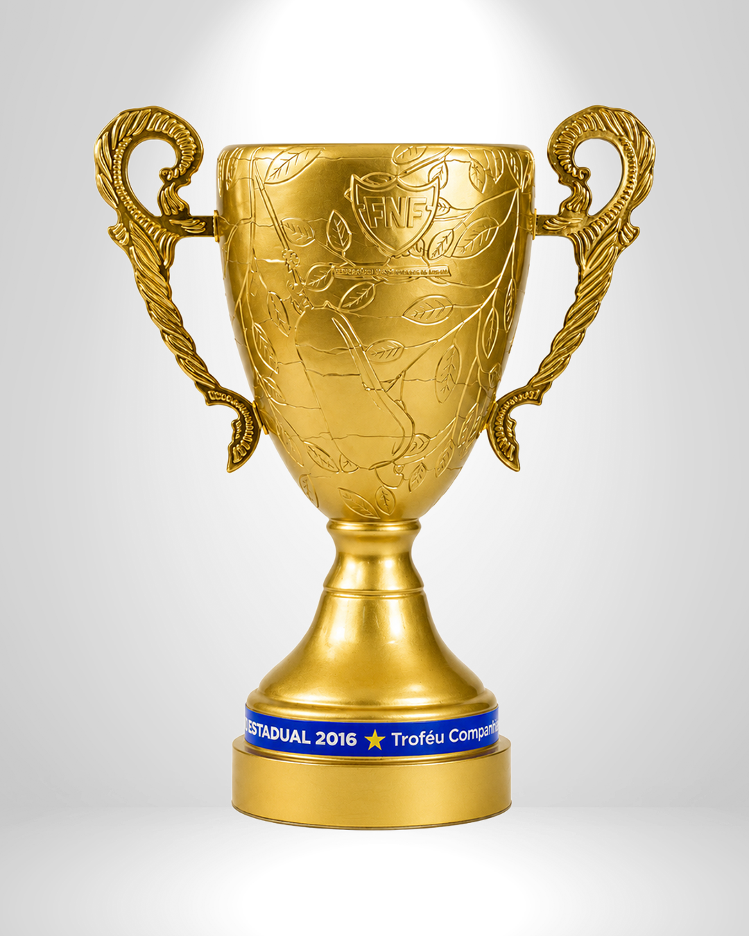 Taça — Campeão Potiguar